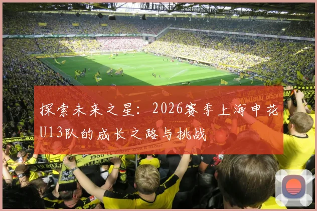 探索未来之星：2026赛季上海申花U13队的成长之路与挑战