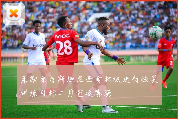 莱默尔与斯坦尼西奇积极进行恢复训练目标二月重返赛场